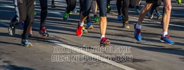 Zdjęcie przedstawiające biegaczy