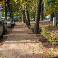 Zdjęcie chodnika z czerwonej kostki wzdłuż drzew i zaparkowanych samochodów